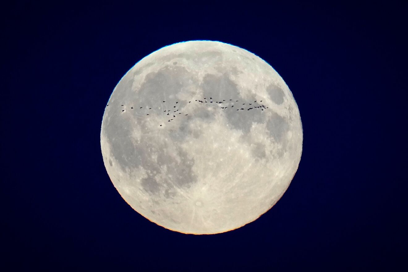 La Luna dibujar una gigantesca X en un espectculo pocas veces visto por el ojo humano