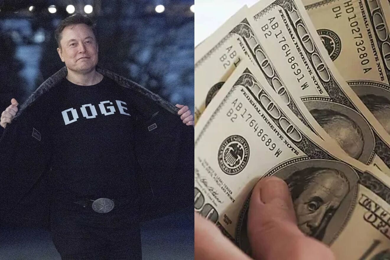 Elon Musk, jefe de DOGE