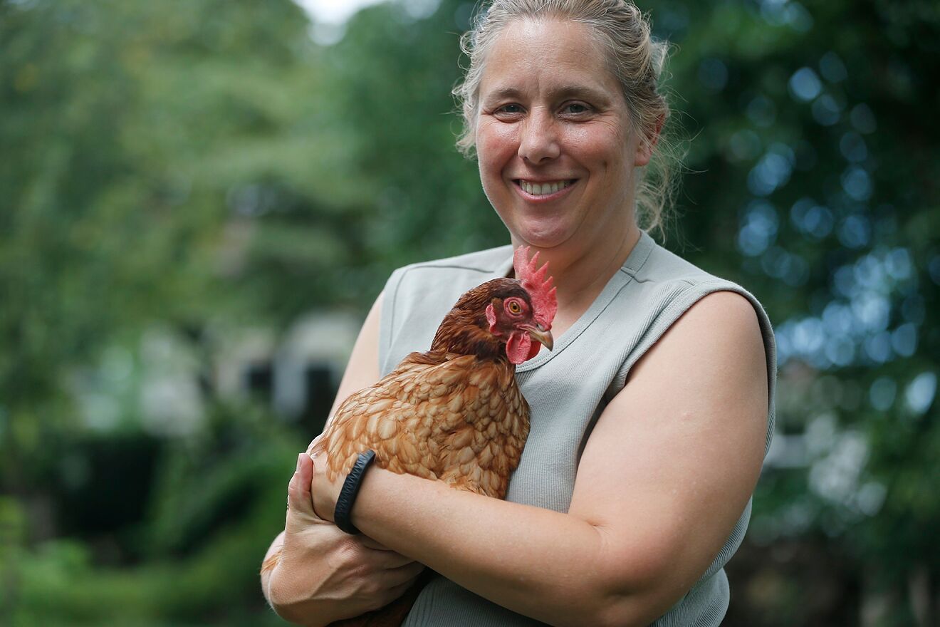 Las familias en EEUU han optado por comprar gallinas para poder...